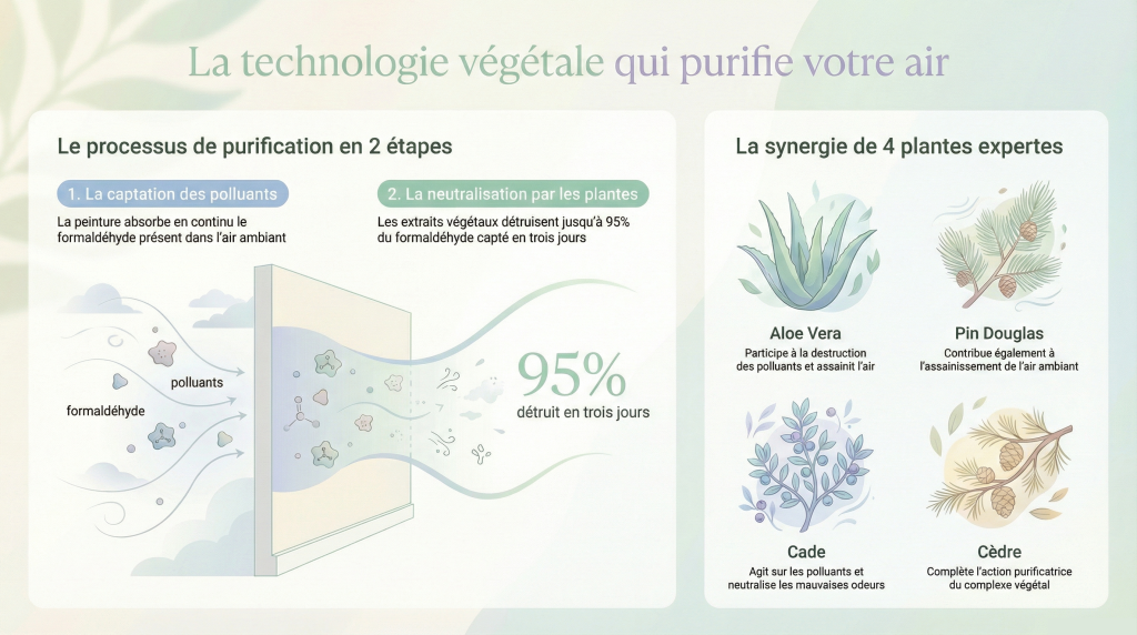 Action des peintures ERIKA utilisée par l'équipe d'illusions murales.